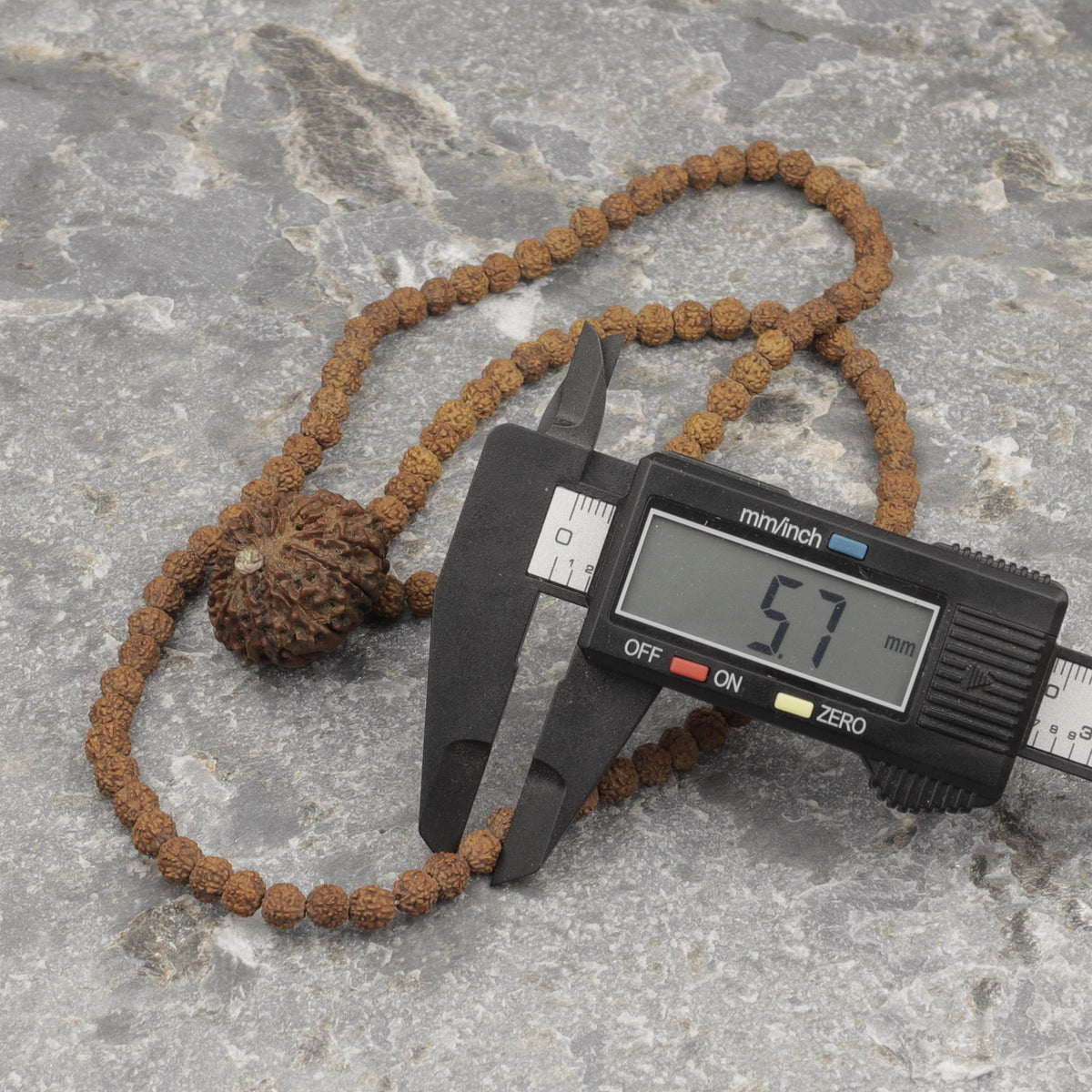 Authentic Rudraksha Mala, Choose Your Nepali Mukhi Guru Bead