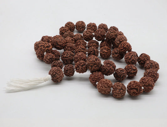 Authentic brown Rudraksha prayer beads mala with a white tassel
