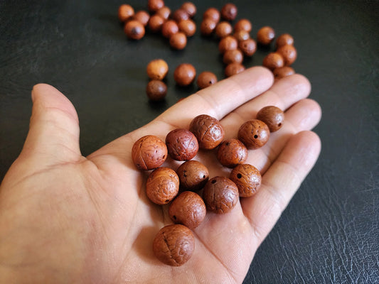 Hand holding authentic brown Rudraksha beads on a dark background