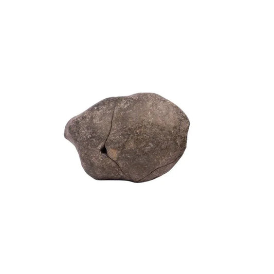 Authentic Laxmi Narayan Shaligram Stone from Kali Gandaki River Nepal by Om Kleem Kali