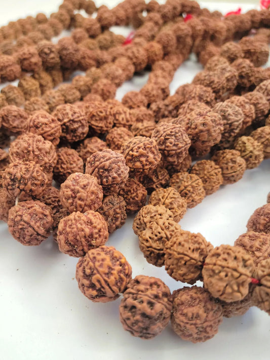 Bulk Rudraksha Donation, Sacred Offering By Om Kleem Kali