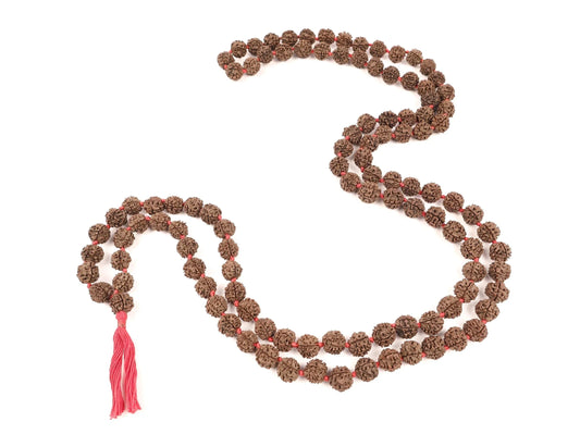 Authentic brown Rudraksha seed mala prayer beads with a red tassel on a white background