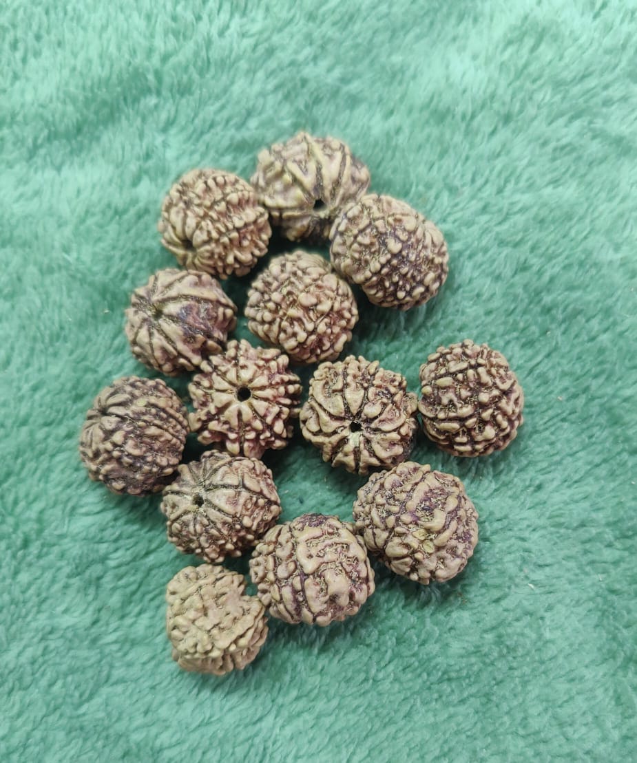 Ma Durga 9 Mukhi Rudraksha Mala, 54+1 Beads For NARRCI