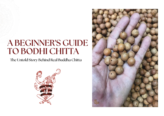 The Untold Story Behind Real Buddha Chitta Bodhi Seeds: A Complete Beginner's Guide (2026)