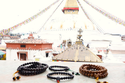 Authentic Buddha Chitta Bodhi seeds from Temal, Nepal — natural Phoenix Eye formation