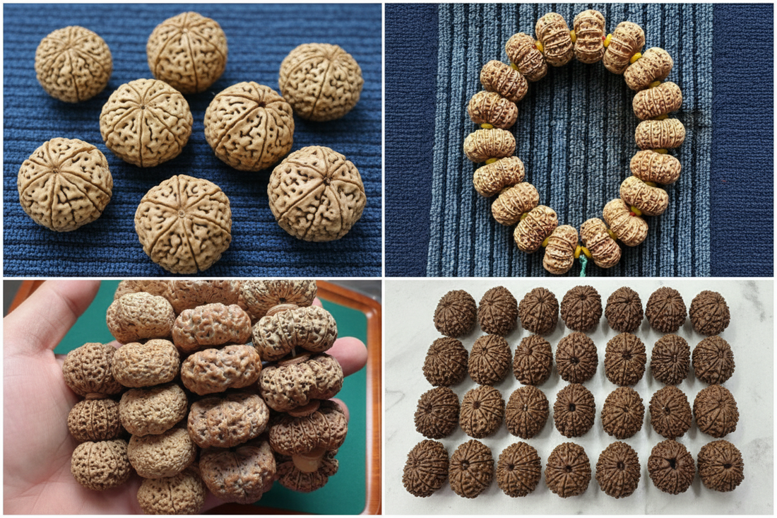 Comparison of authentic Rudraksha beads showing Nepali, Indian, Indonesian varieties with different mukhi patterns, sizes, and natural textures