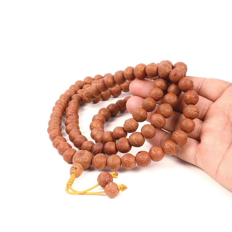 Bodhi Chitta For Beginners