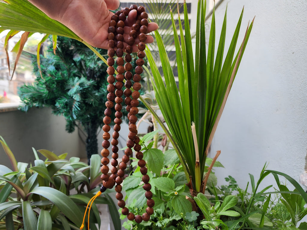 Tibetan Bodhi Seed Dalai Lama Prayer Beads