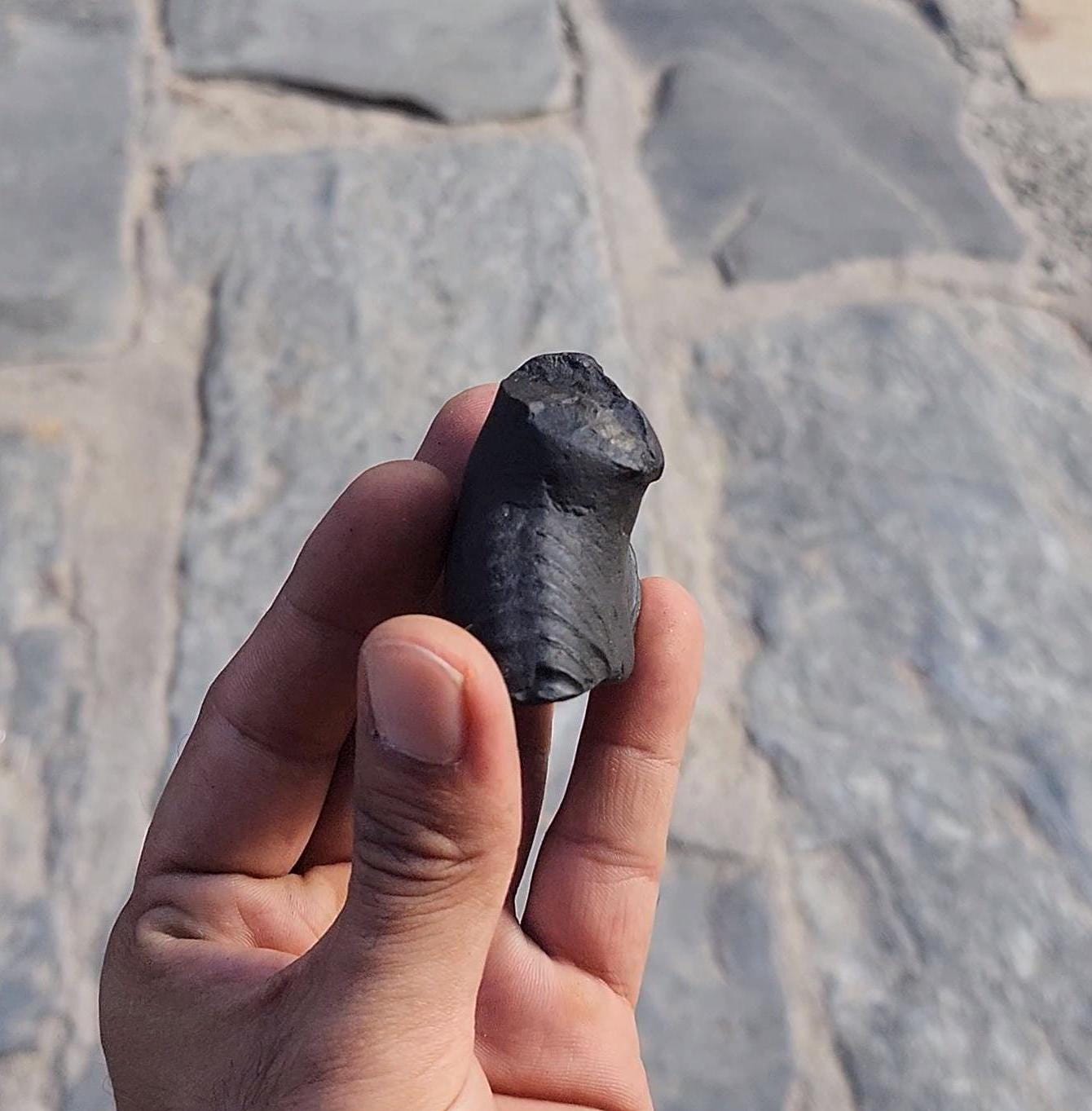 Nirakar Anant Rupa Shaligram