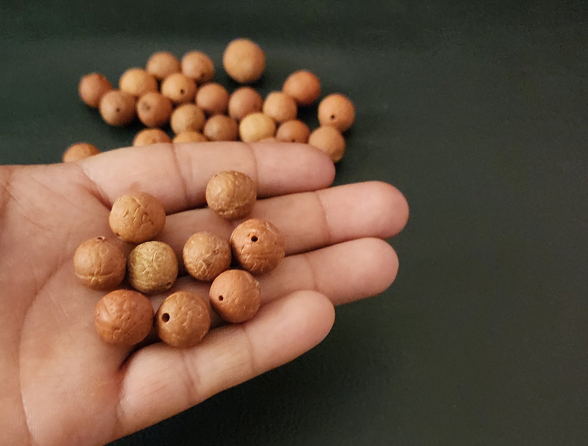 Phoenix Eye Real Nepali Bodhi Seed Beads | Natural Buddhachitta Buddha Prayer Bead For Yoga & Mindfulness, Prayer Beads