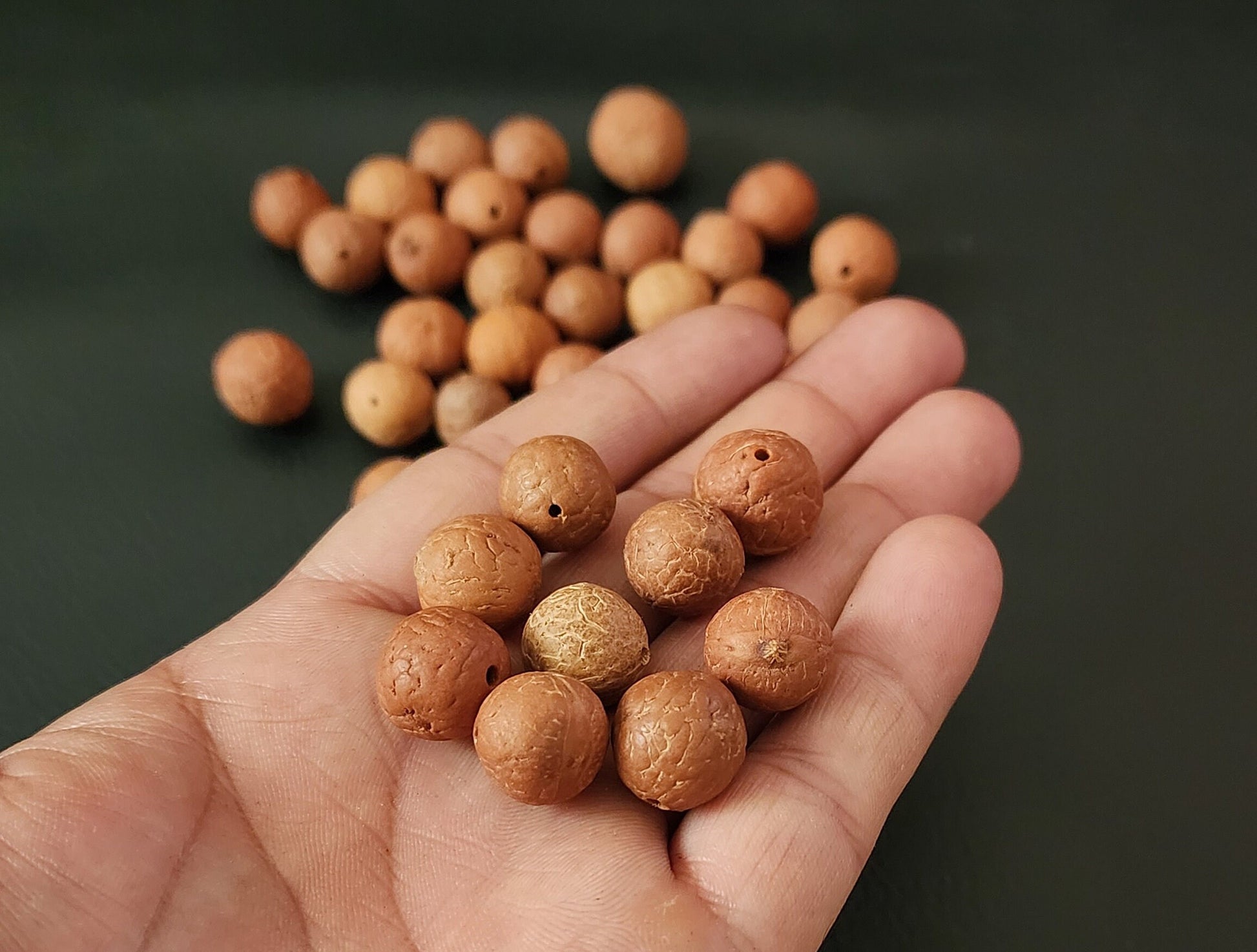 Phoenix Eye Real Nepali Bodhi Seed Beads | Natural Buddhachitta Buddha Prayer Bead For Yoga & Mindfulness, Prayer Beads
