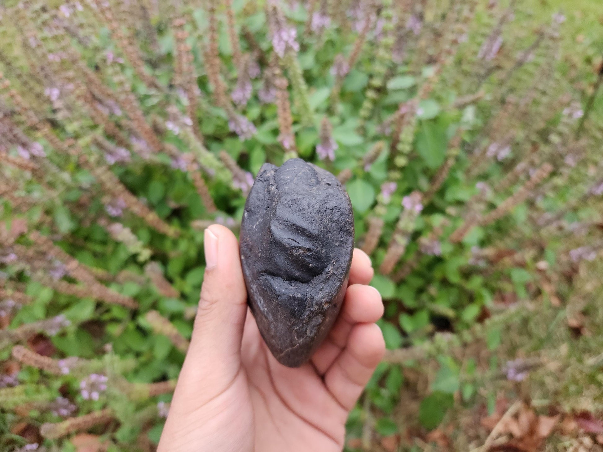 Large Cosmic Chakra Lord Vishnu Shaligram