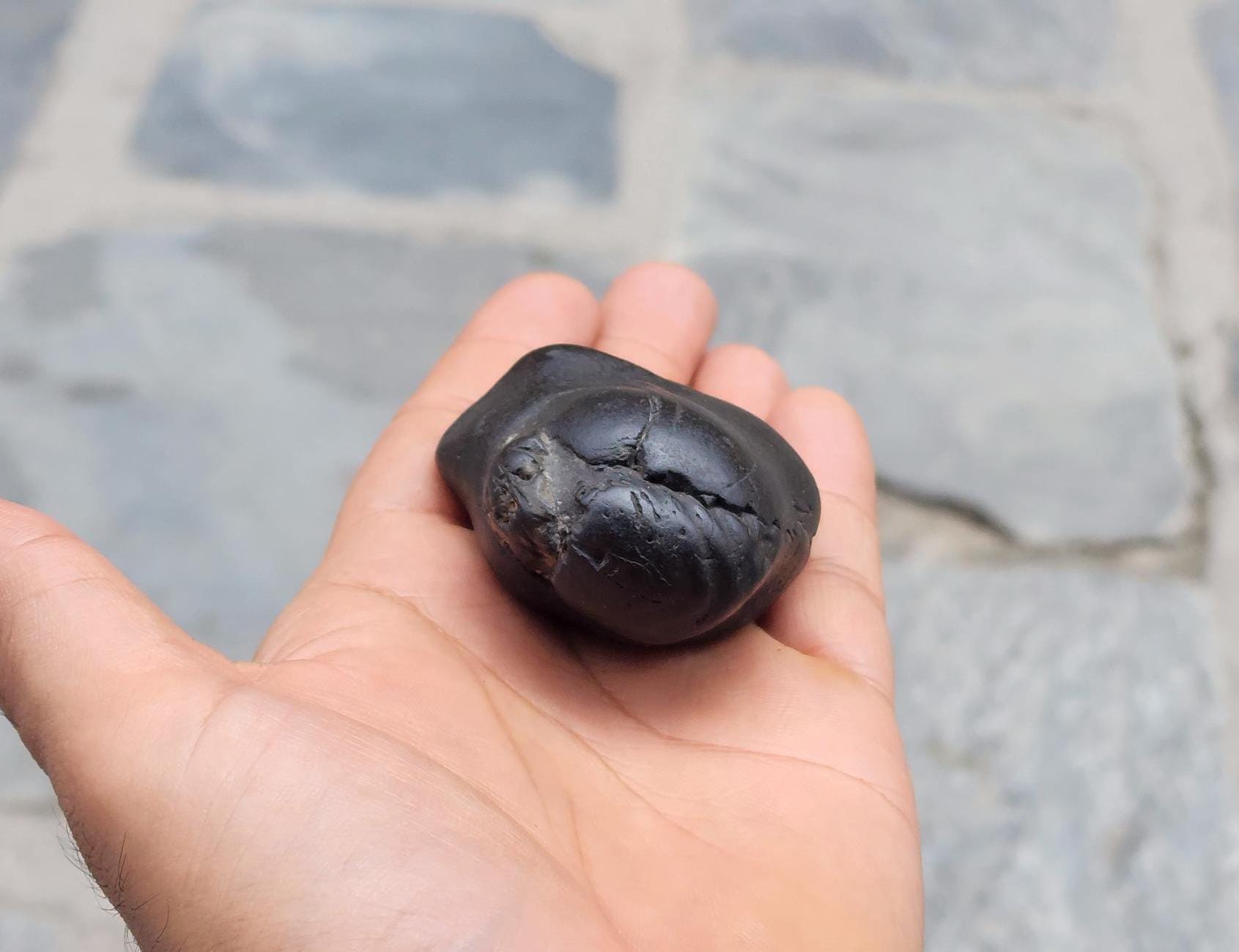 Narasimha Shaligram The Fourth Avatar Of Hindu God Vishnu