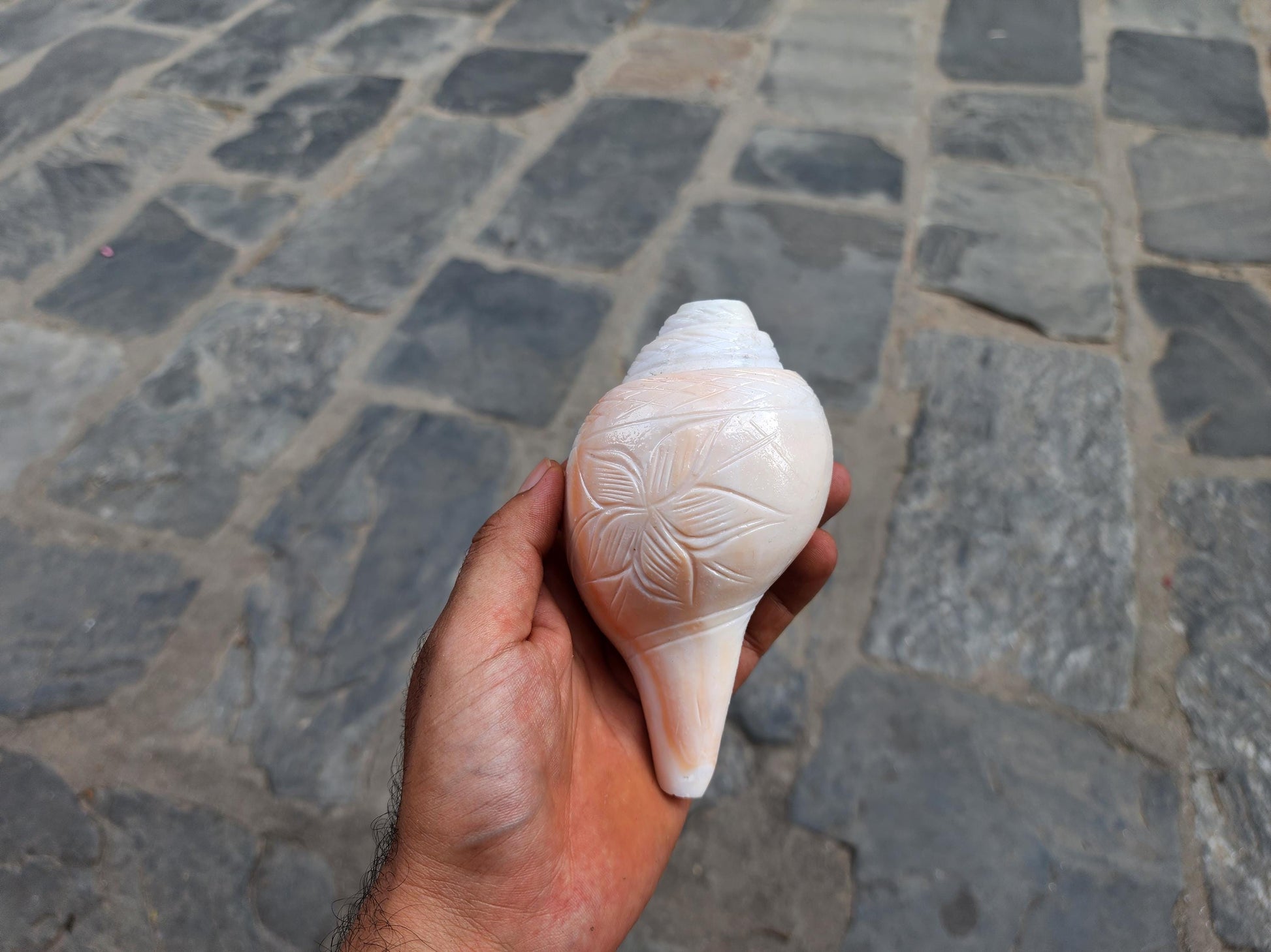 Rose Blowing Sankha, Hand Carved Flower Design