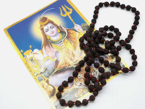 108+1 Rudraksha Prayer Beads | Geniune Rudraksha Seed Mala | Meditation, Rosary, Japa Mala