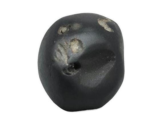 Three Chakra In One Shaligram Precious Stone