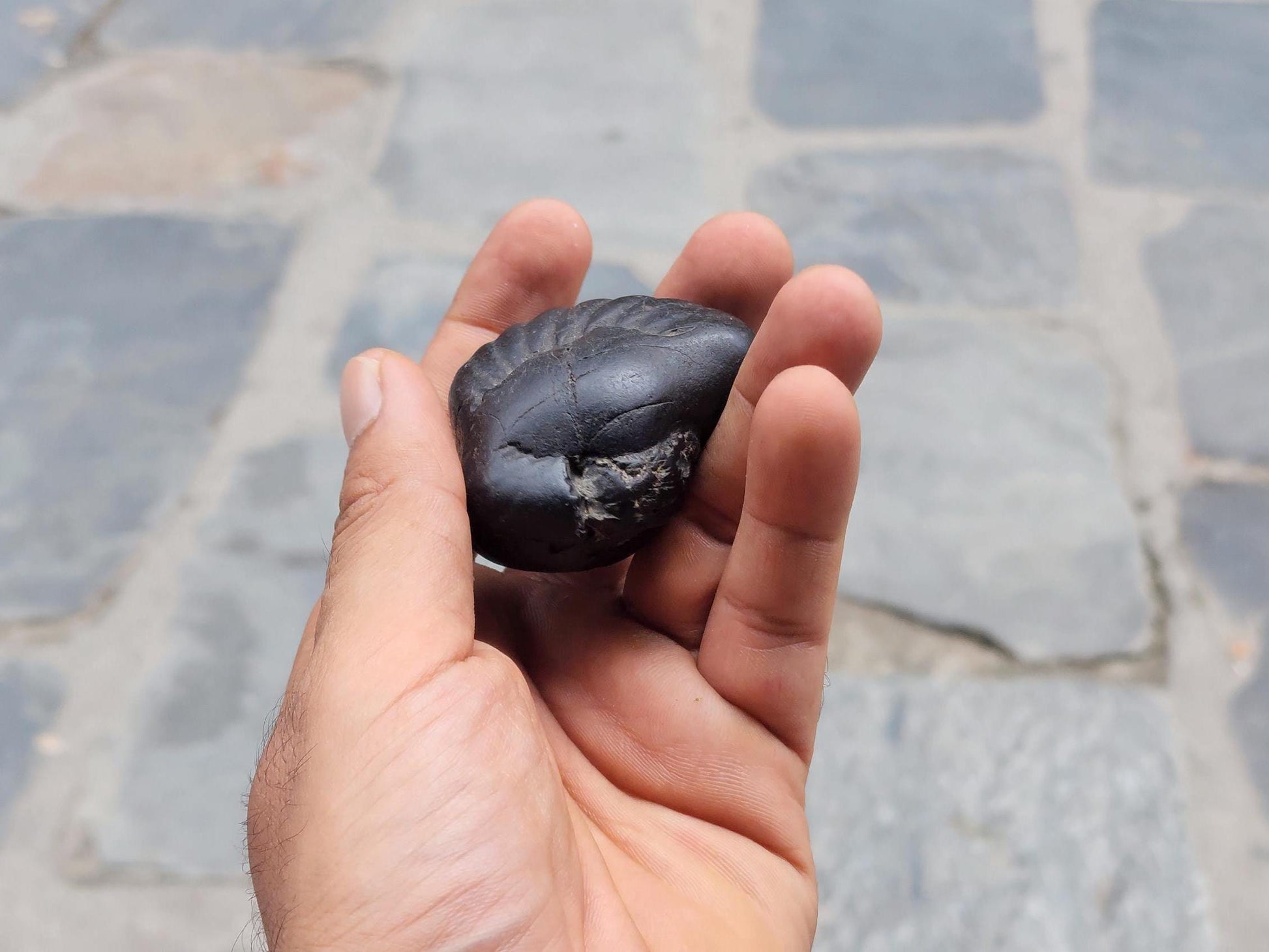 Narasimha Shaligram The Fourth Avatar Of Hindu God Vishnu
