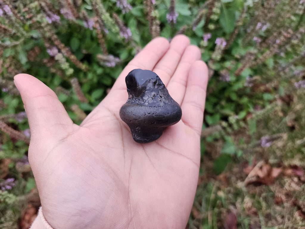 Parsuram Shaligram