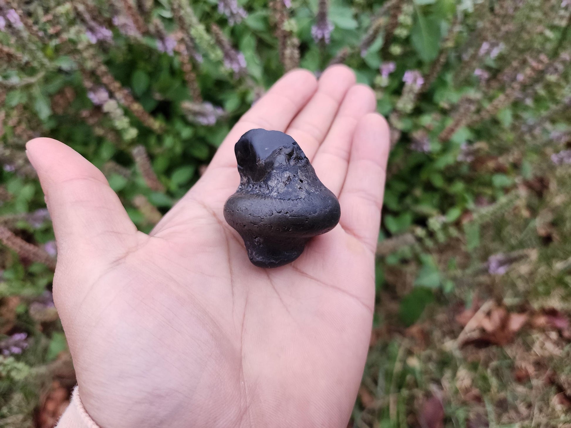 Parsuram Shaligram