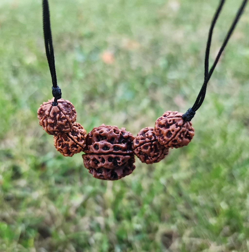 Large 5 Mukhi Nepalese Adjustable Rudraksha Mala