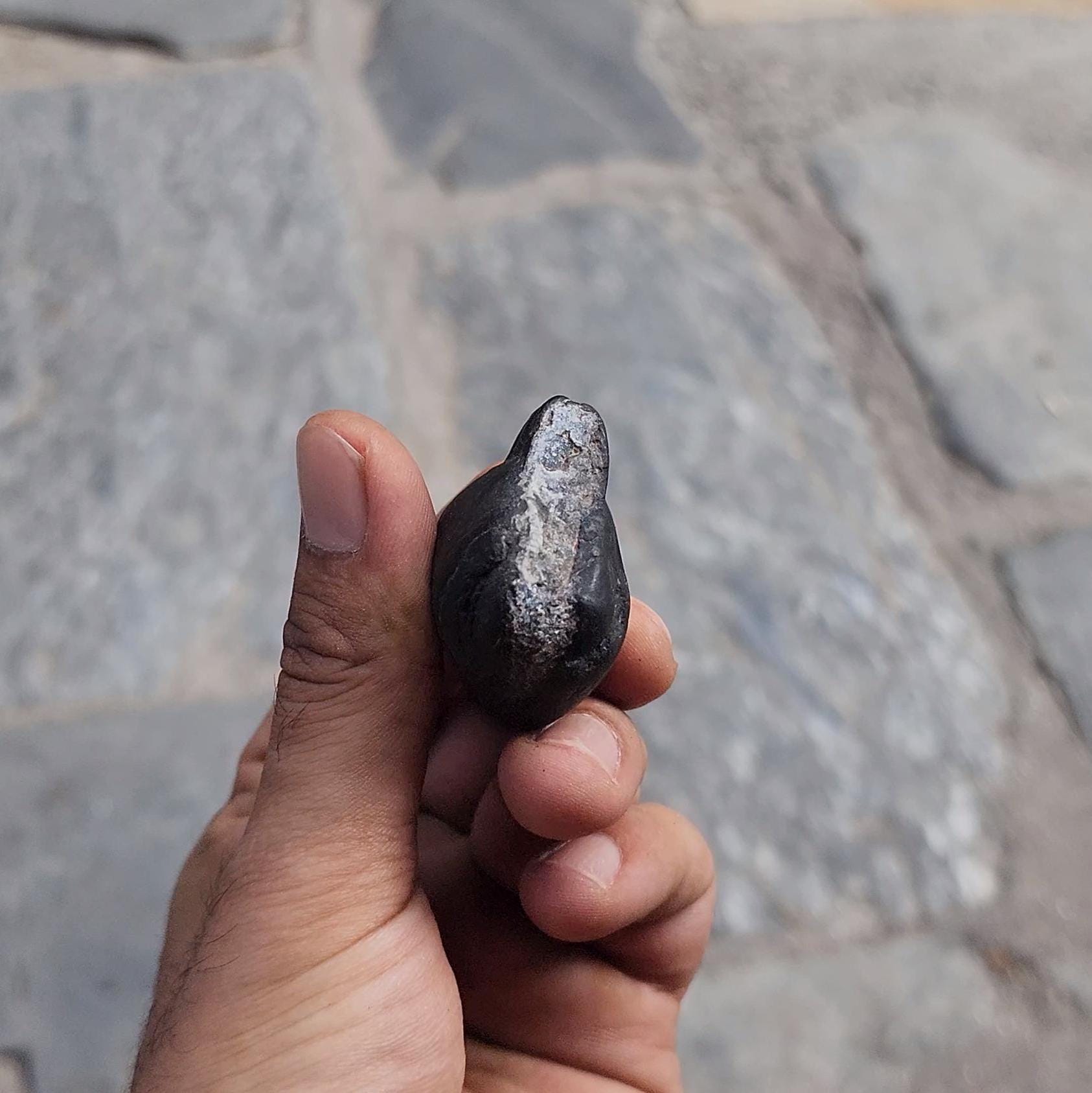 Pisces Lucky Stone – Rare Fish-Shaped Sacred Shaligrama For Intuition And Spiritual Flow