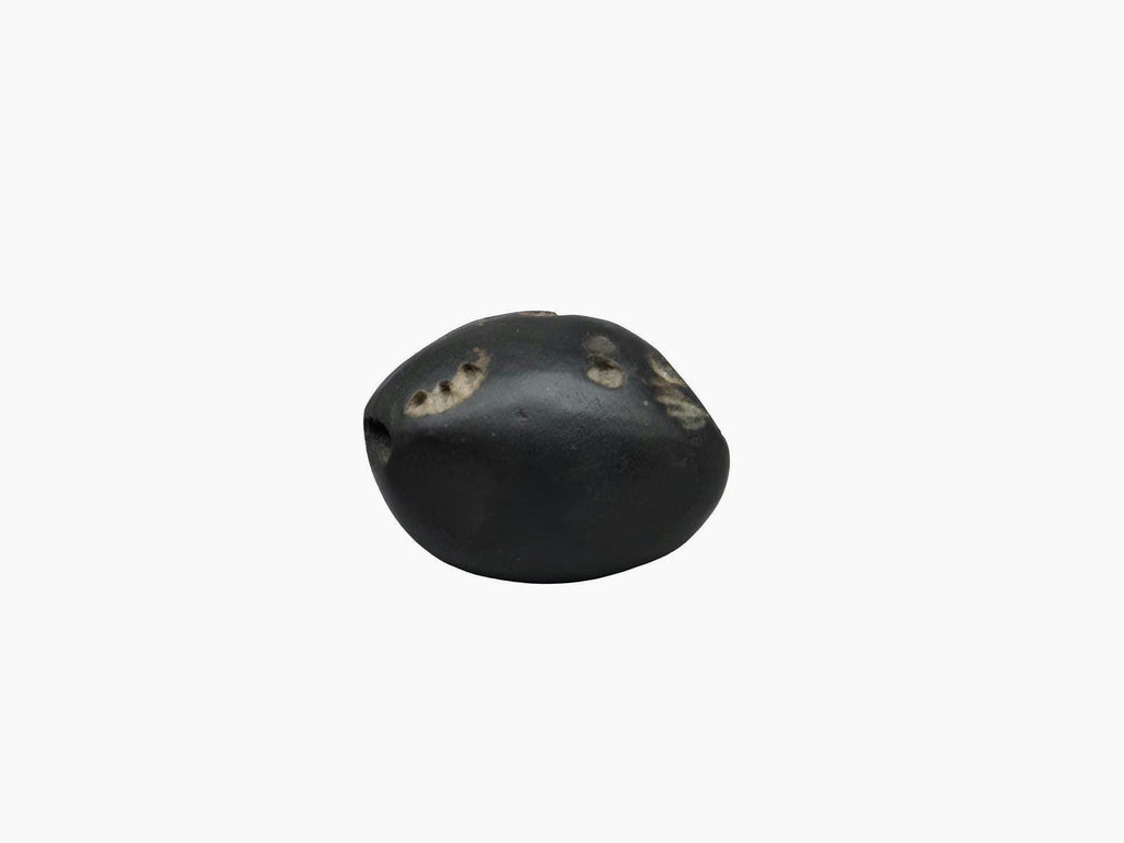 Three Chakra In One Shaligram Precious Stone