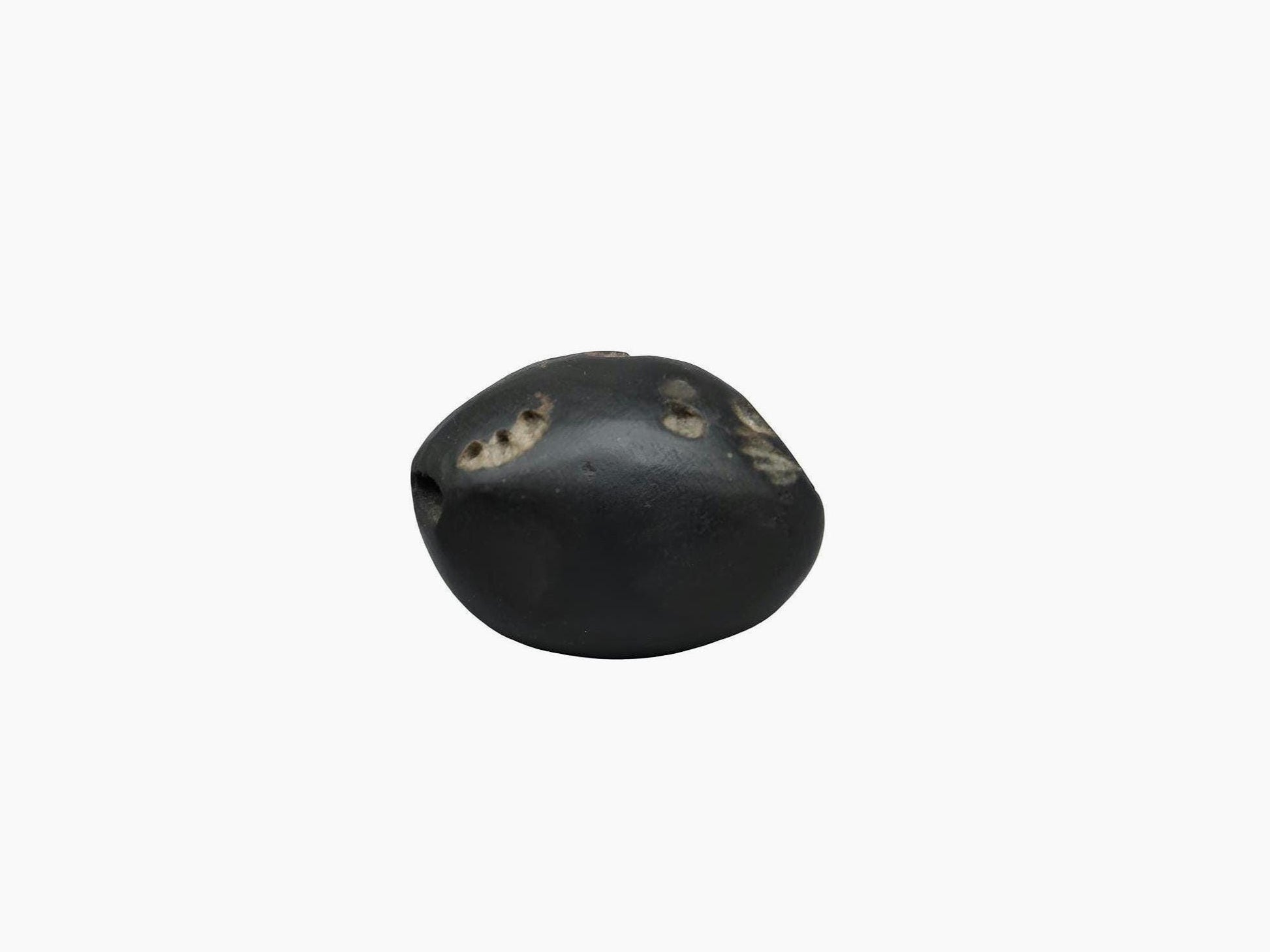Three Chakra In One Shaligram Precious Stone