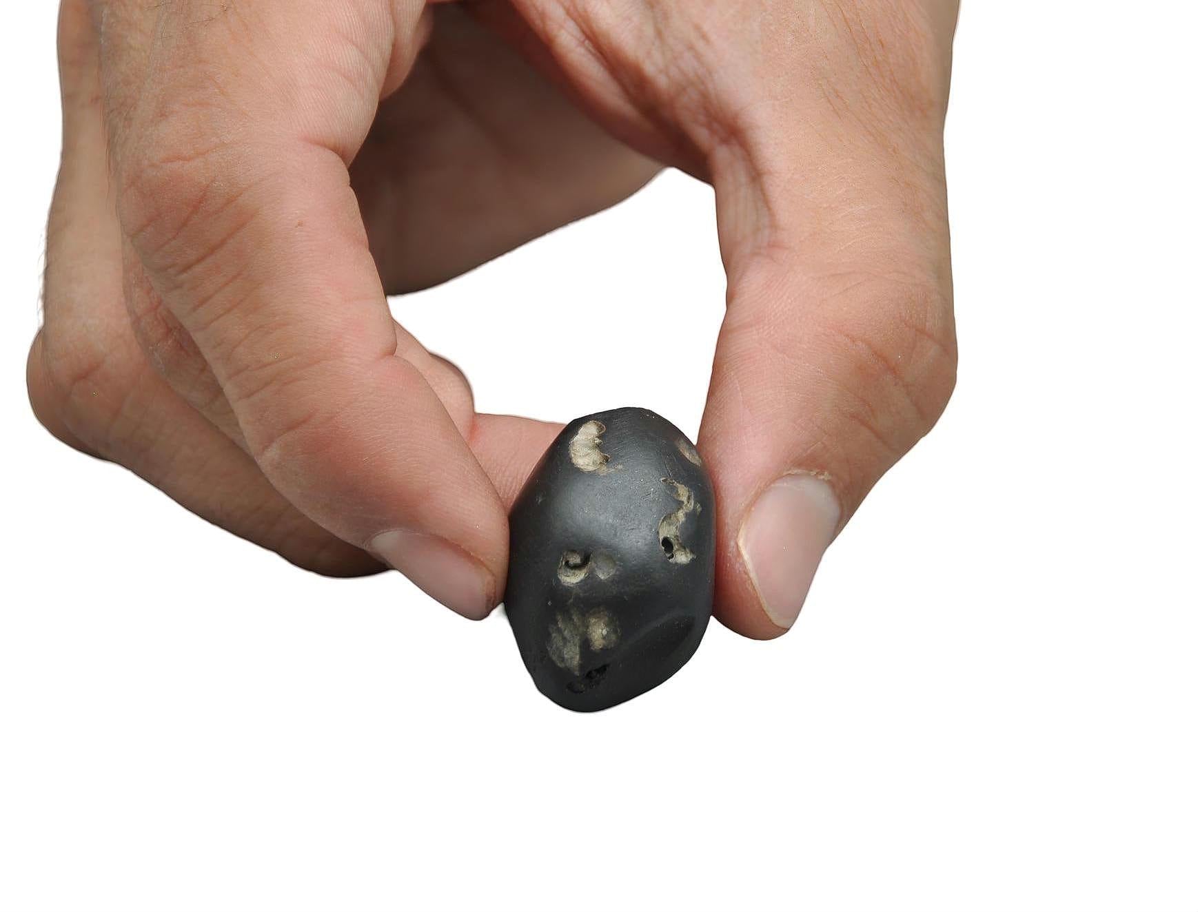 Three Chakra In One Shaligram Precious Stone