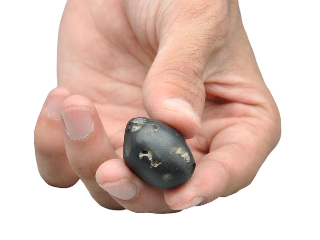 Three Chakra In One Shaligram Precious Stone