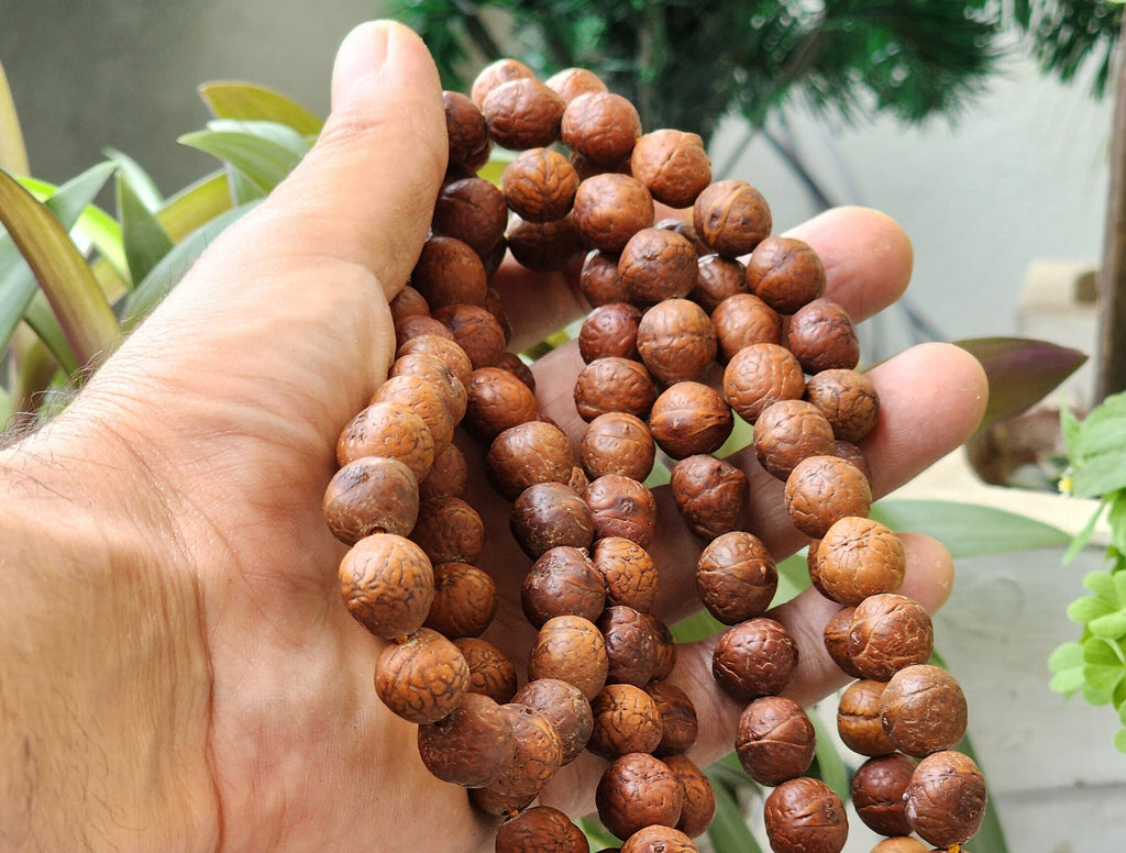 Tibetan Bodhi Seed Dalai Lama Prayer Beads