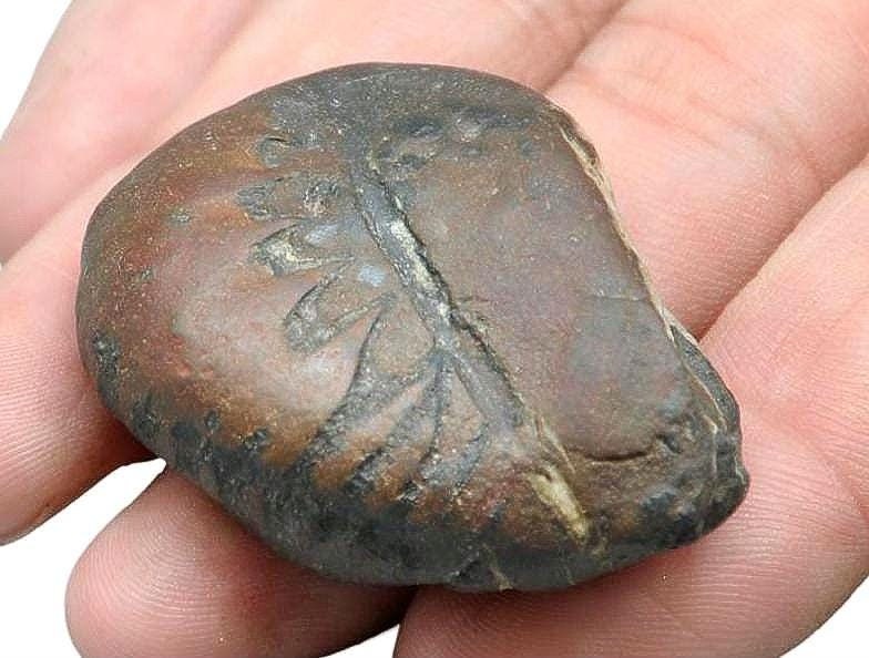 Ancient Himalayan Healing Stone, Stone Of Eternal Life, Rare Collector’s Treasure For Longevity And Spiritual Awakening