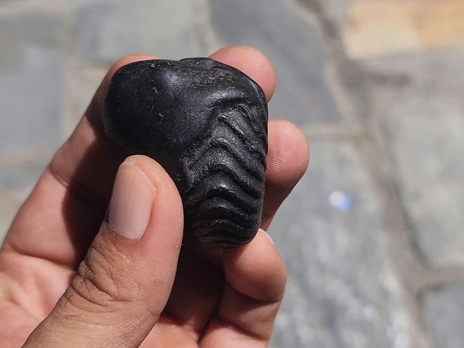 Lord Ganesh Shaligram
