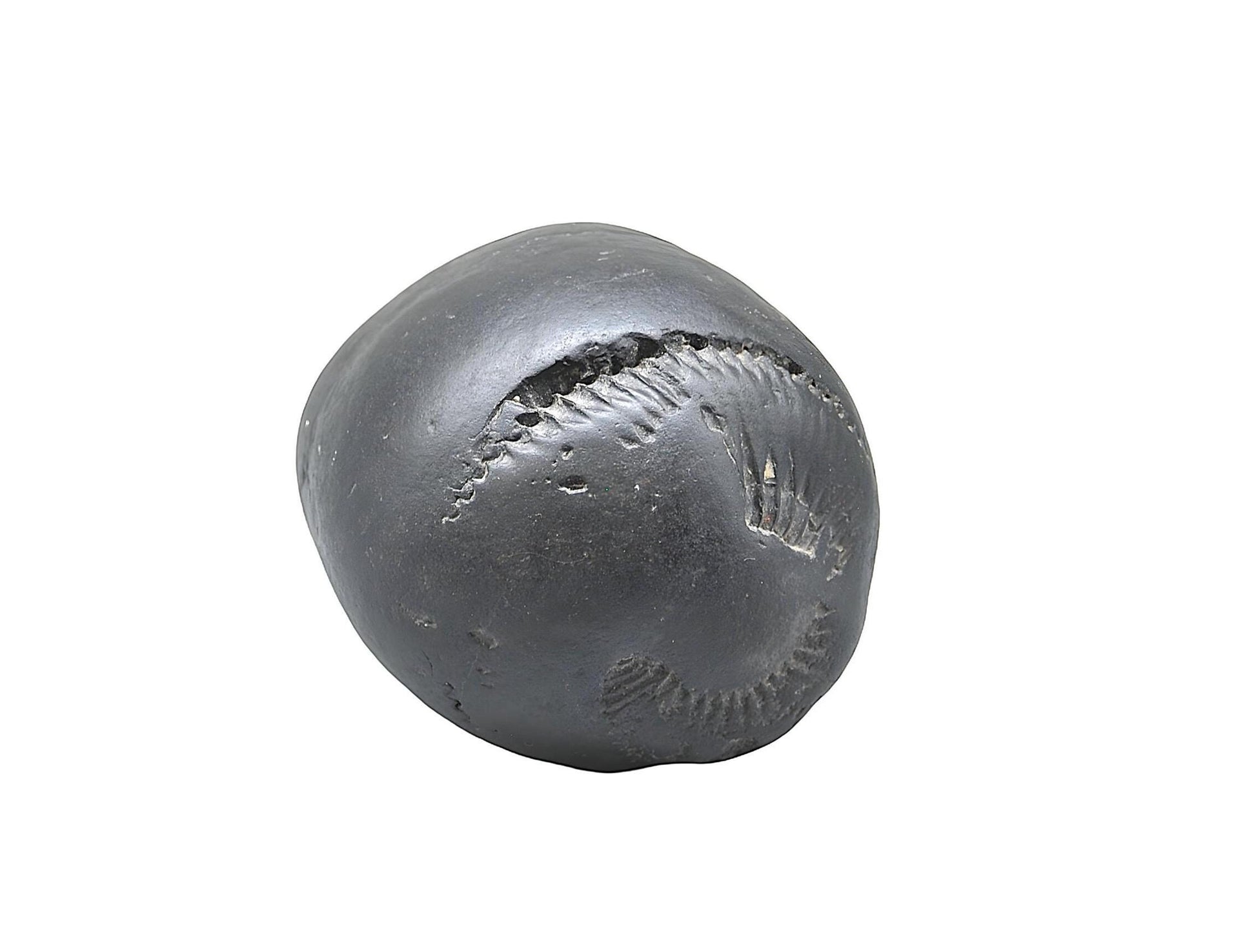 Large Cosmic Chakra Shaligram - Unidentified Shaligram Stone Beleived To Have Sacred Energy For Its Keeper, Natural High Quality Shaligrama