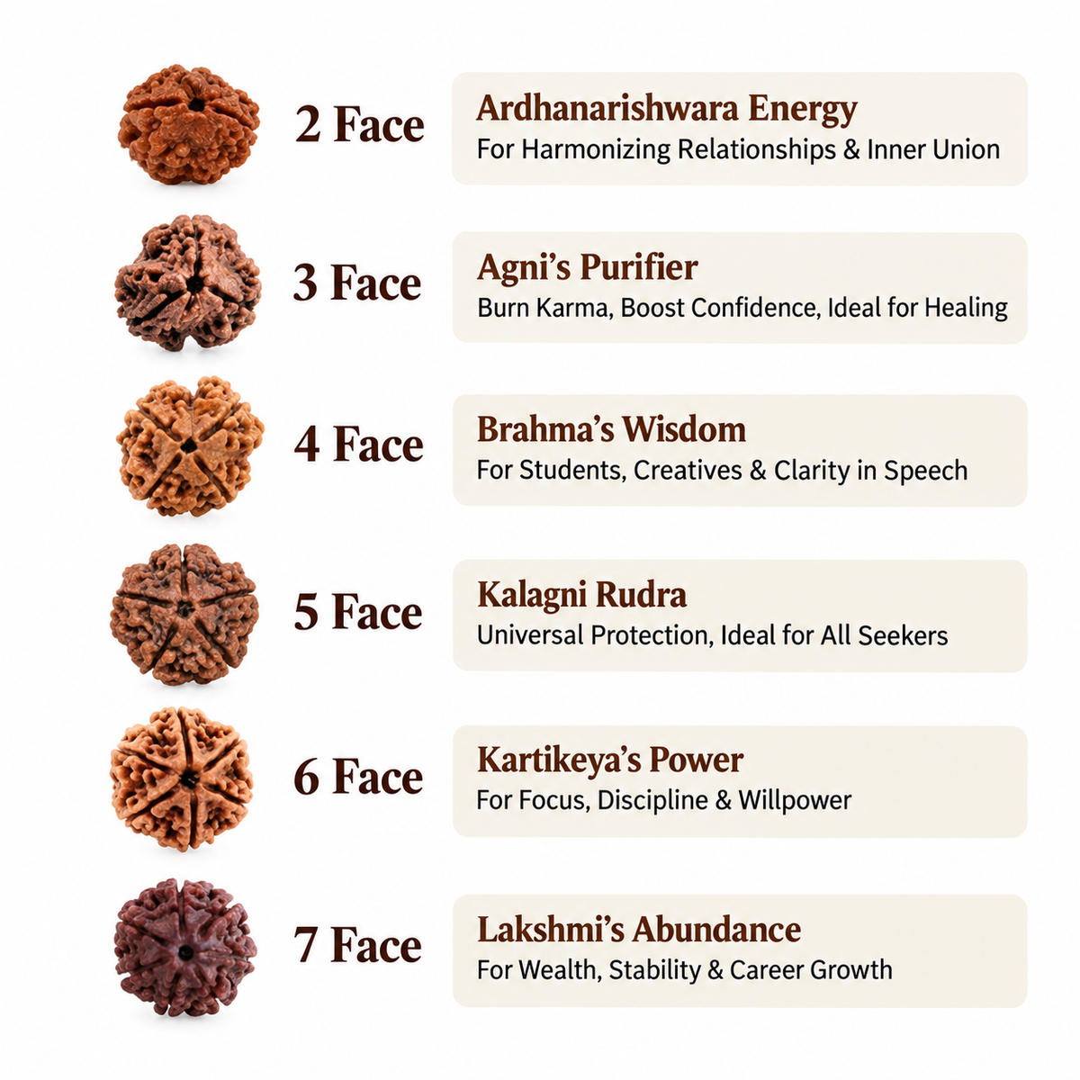 2 to 21 mukhi Nepali Rudraksha