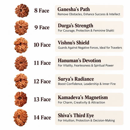 High quality nepali rudraksha by om kleem kali