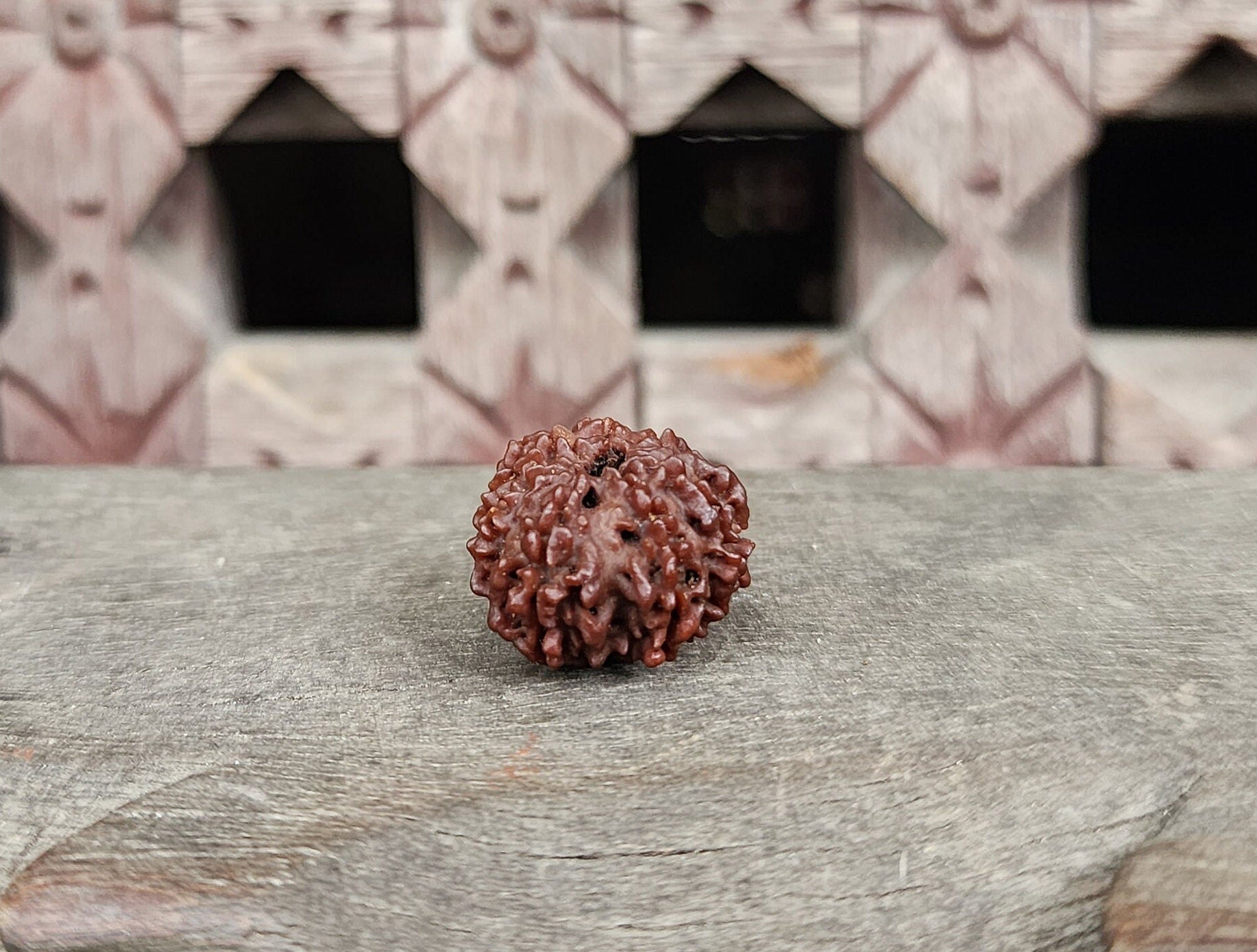 Original 9 Mukhi Rudraksha Beads, Sacred Ketu And Goddess Durga Rudraksha