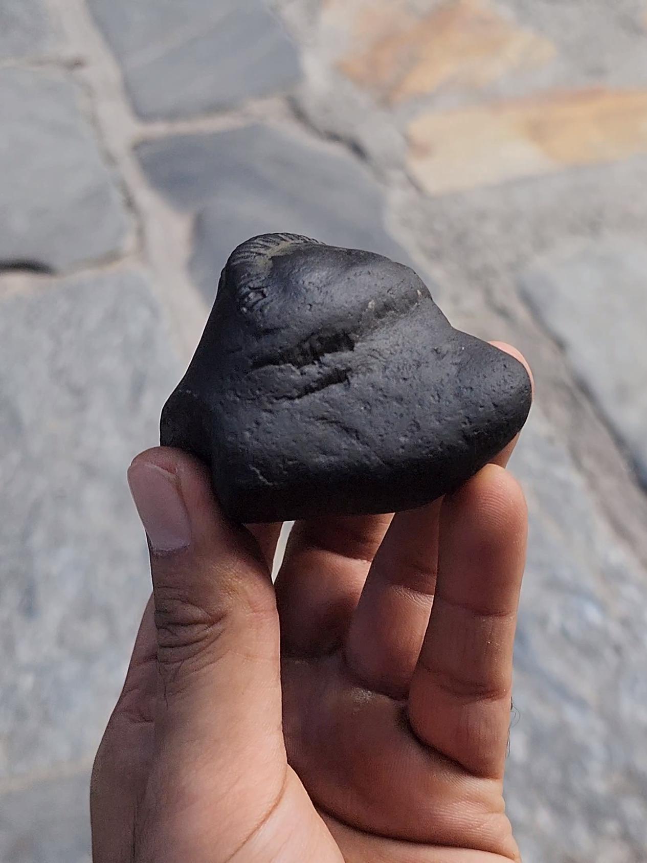 Samboo Shankar Nama Shivaya Shaligrama From Nepal, Stone For Om Devotion