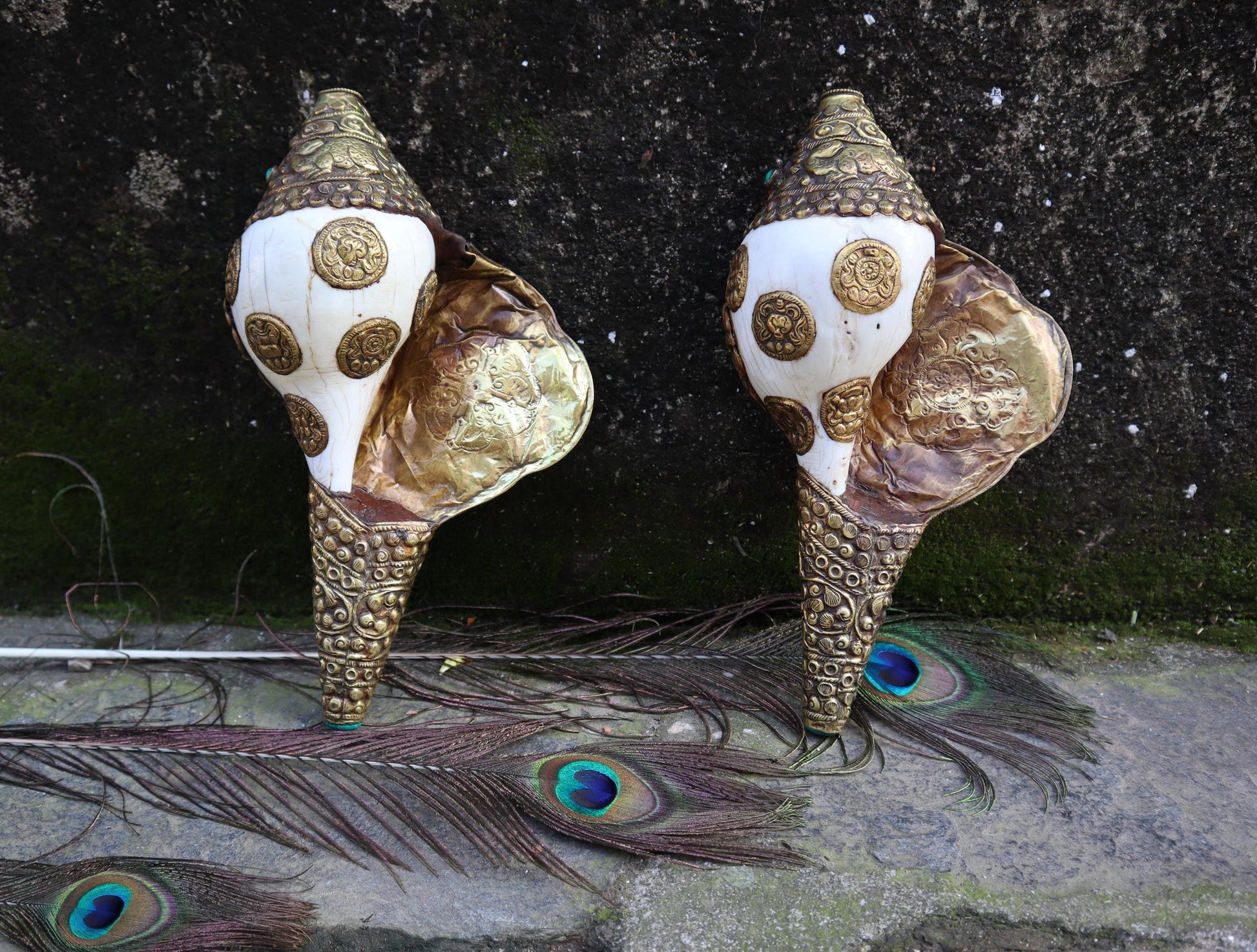 Tibetan Blowing Shankha Conch Shell