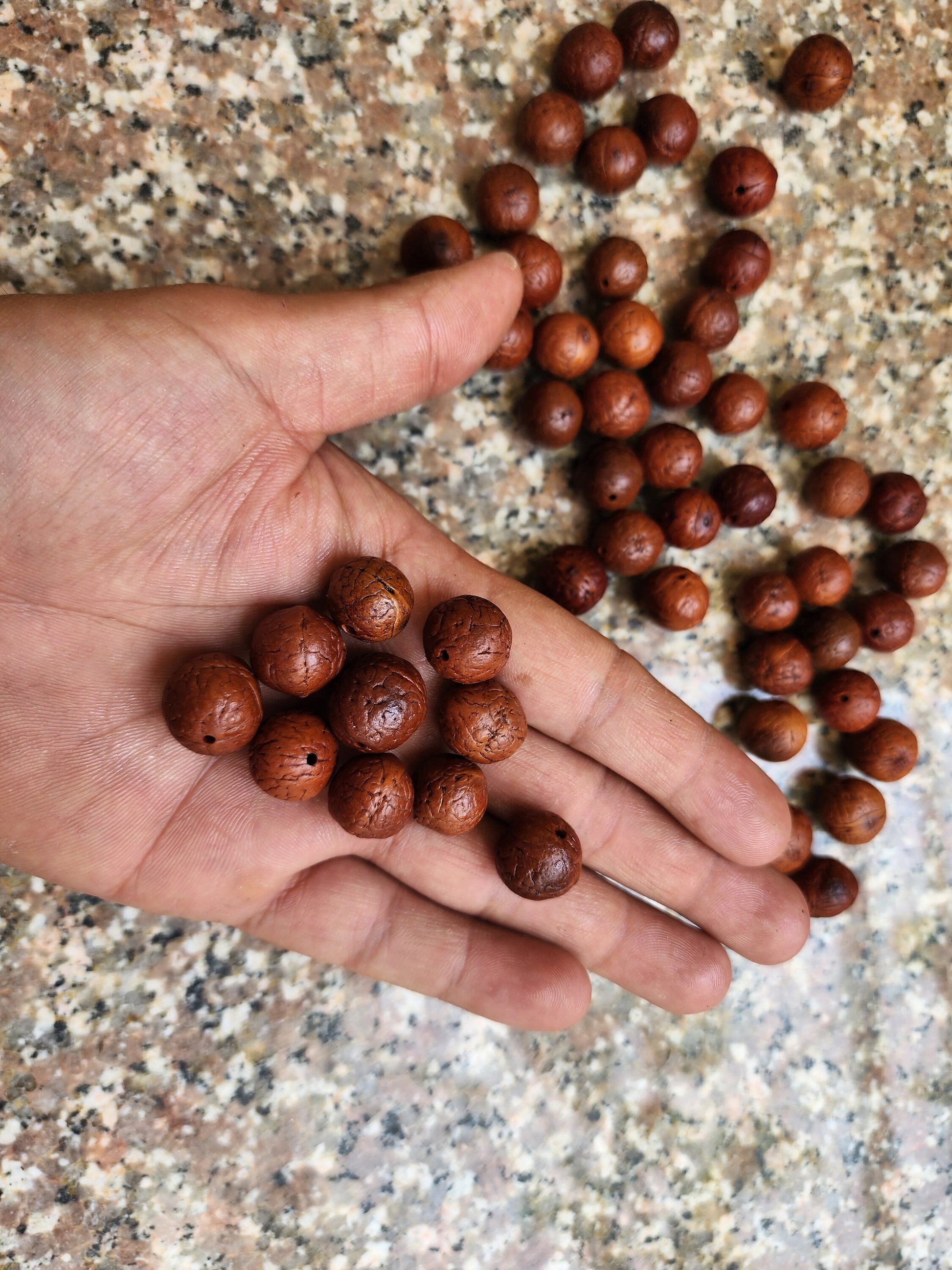 Tibetan Aged Dark Bodhi Seed Beads, Buddhist Bodhi Seed Loose Beads Pack Of 1 or 2 Pounds, 250+ Seeds Per Pound