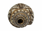 Conch Shell with  Sahasrabhuja Avalokitesvara Hand Carved