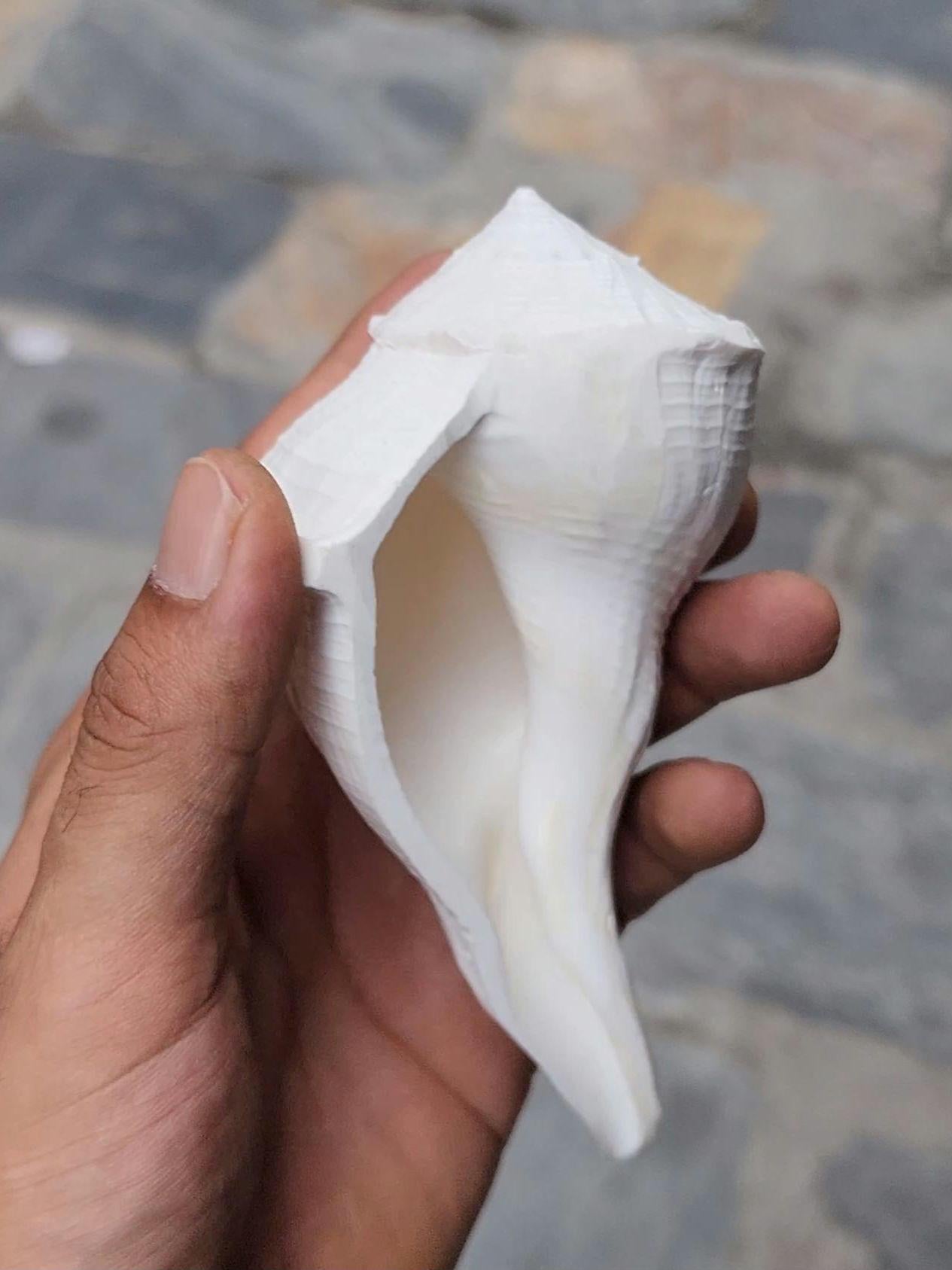Dakshinavarti Conch, Right Hand Shankha
