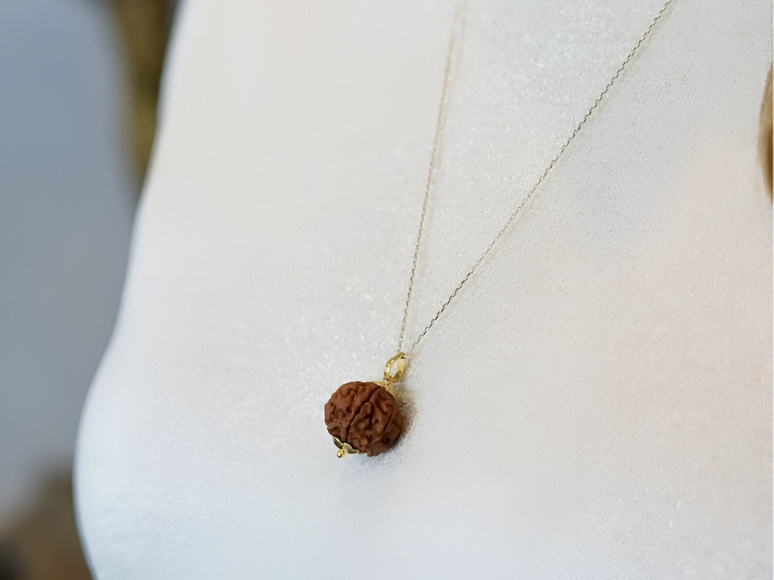 Original 14 Mukhi Rudraksha Bead, Collector Premium Quality, Sacred Saturn And Hanuman Blessing