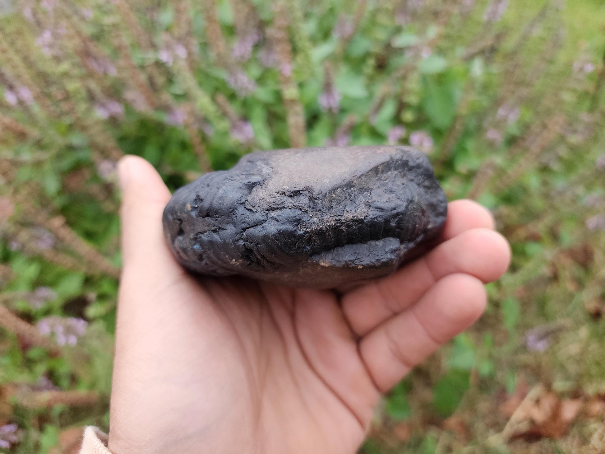 Large Cosmic Chakra Lord Vishnu Shaligram