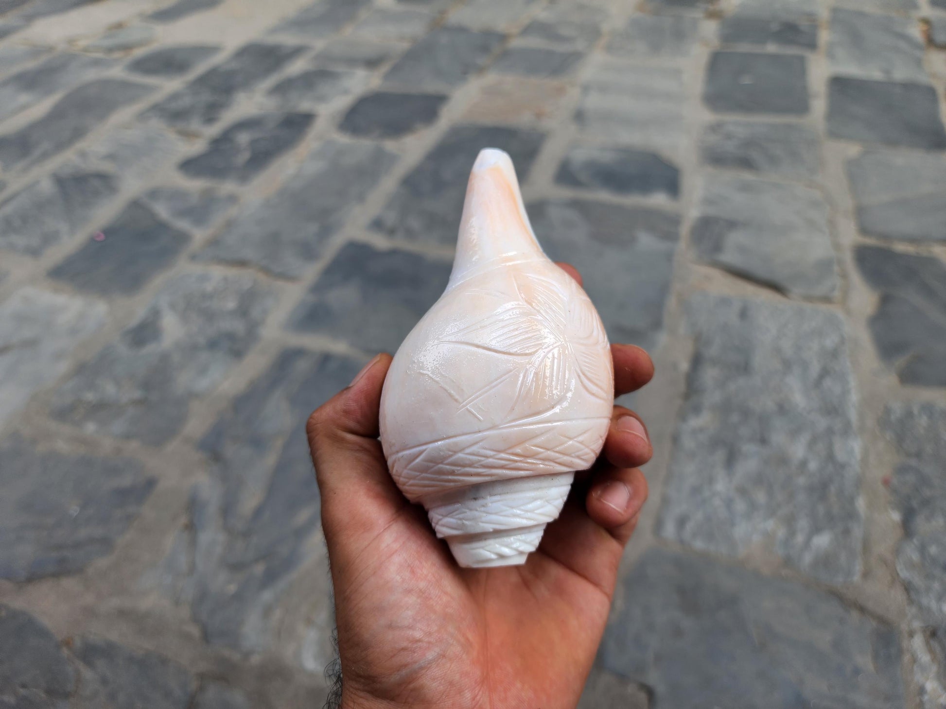 Rose Blowing Sankha, Hand Carved Flower Design