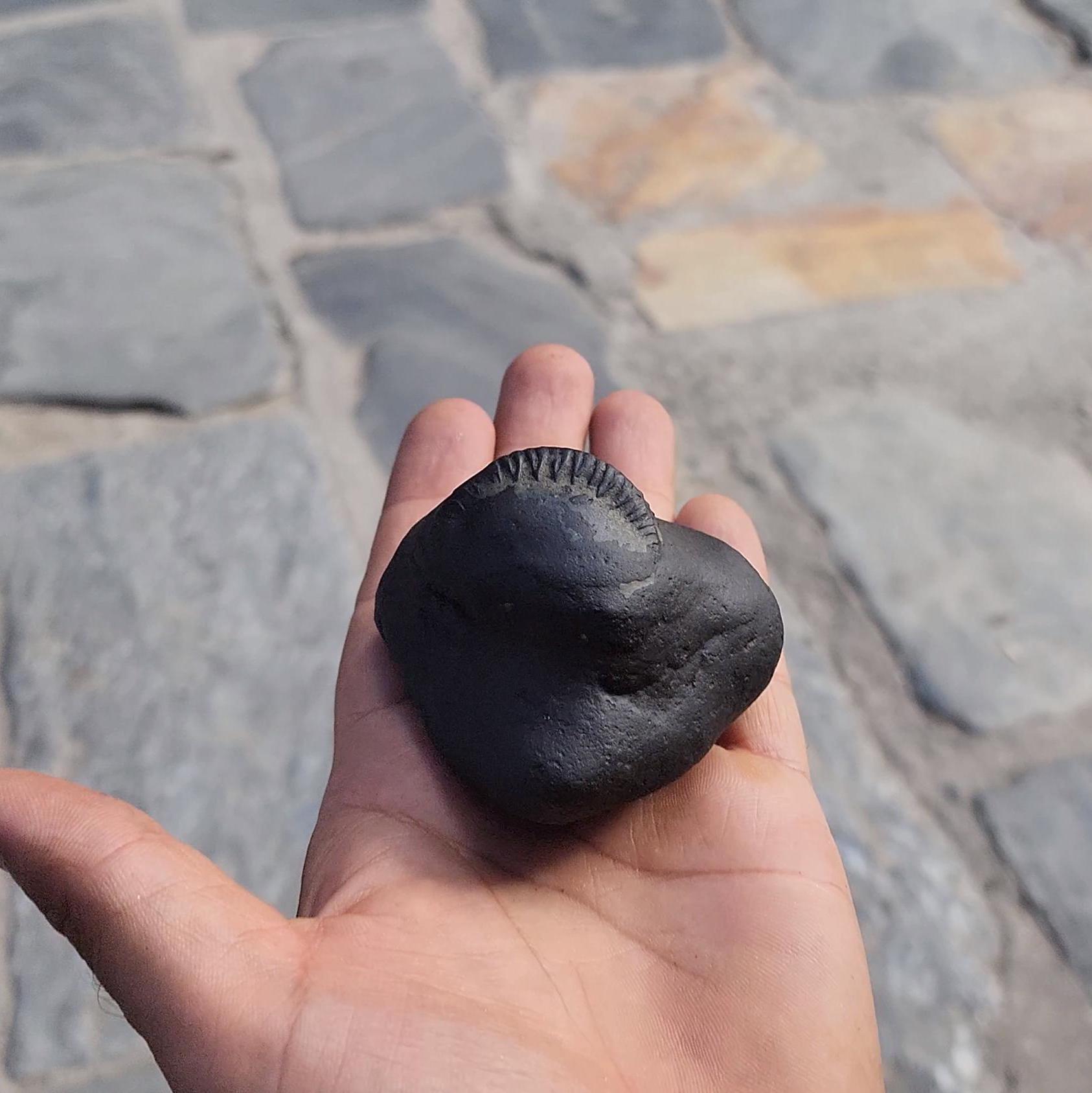 Samboo Shankar Nama Shivaya Shaligrama From Nepal, Stone For Om Devotion