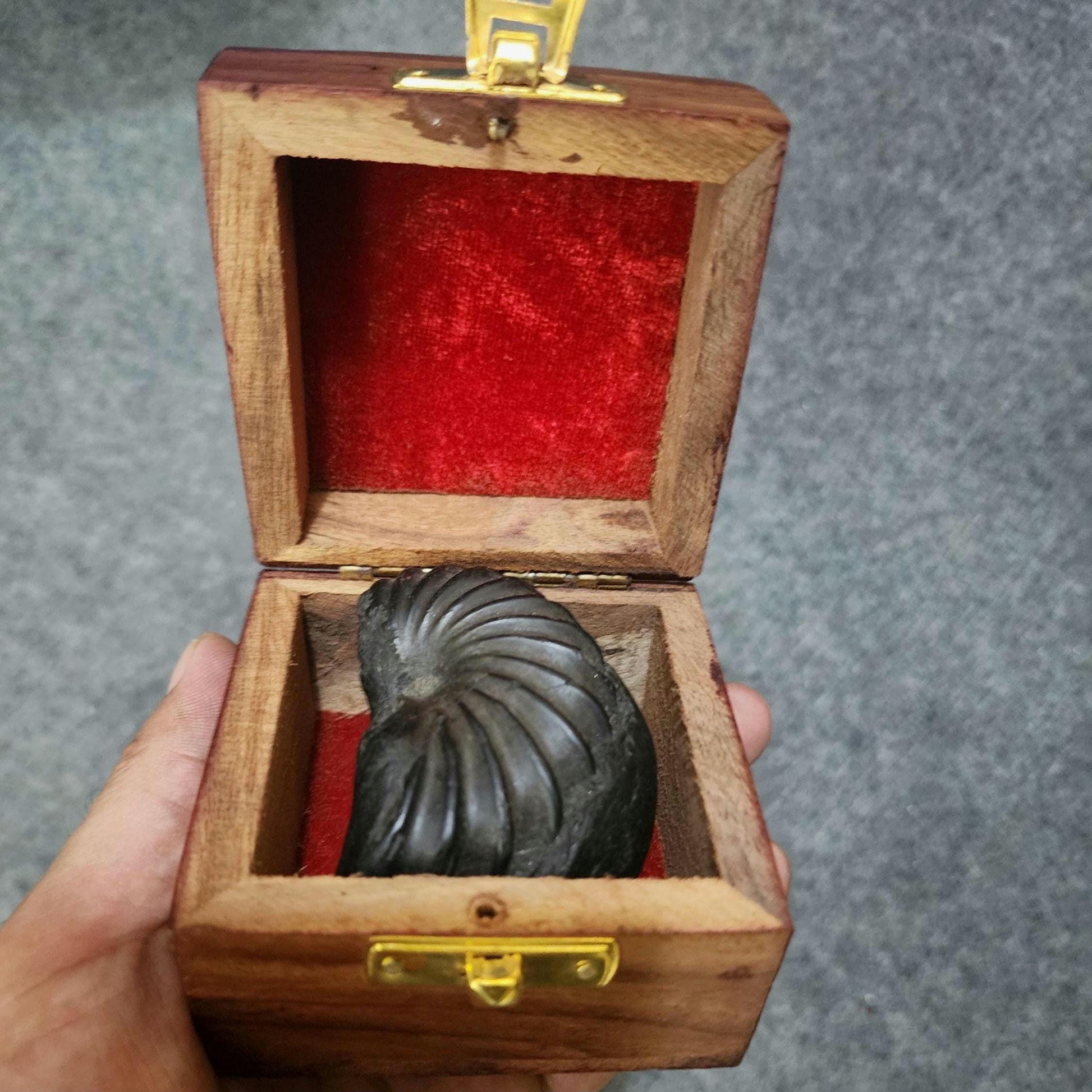 7 Chakras Healing Shaligram