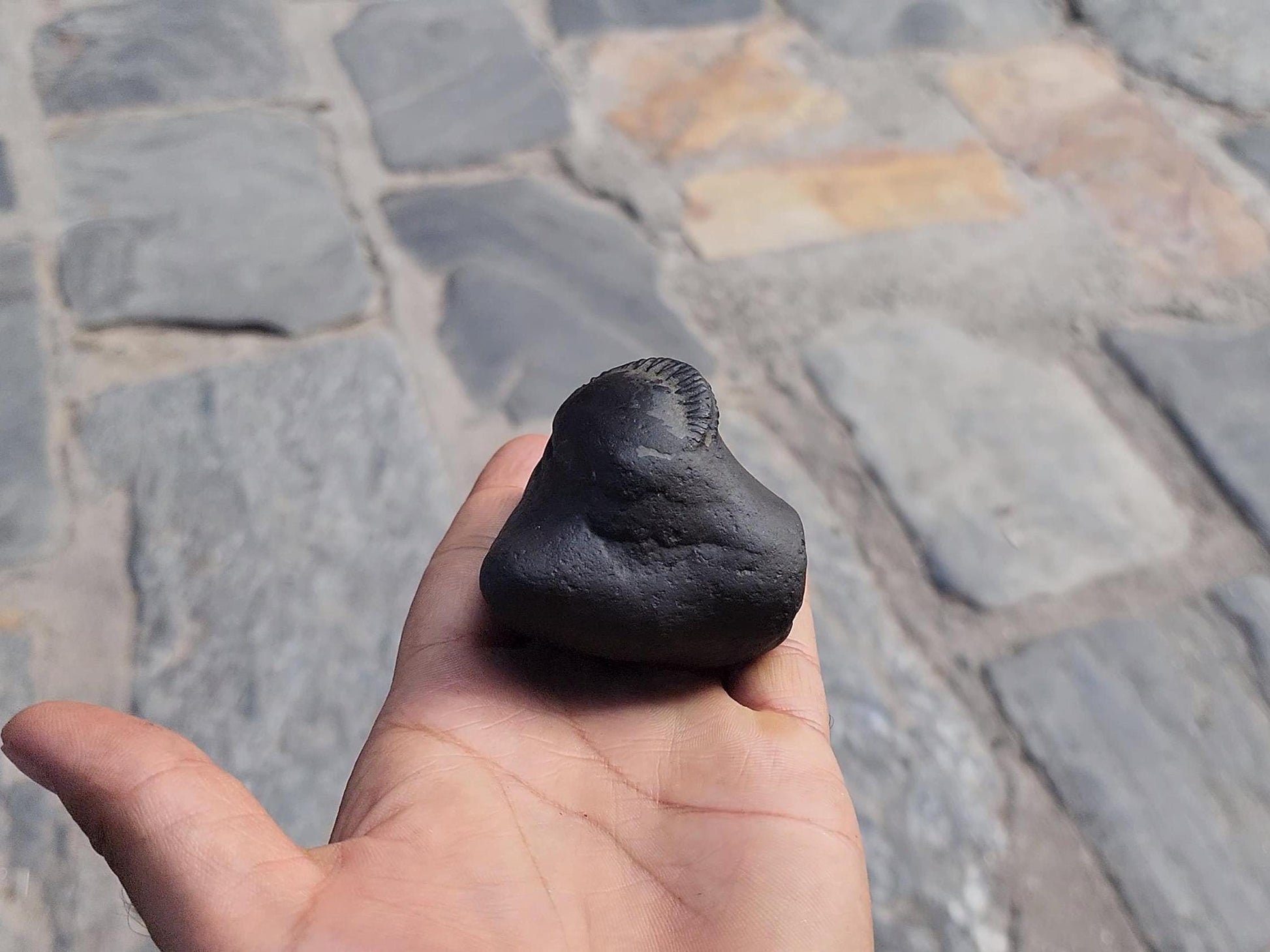Samboo Shankar Nama Shivaya Shaligrama From Nepal, Stone For Om Devotion