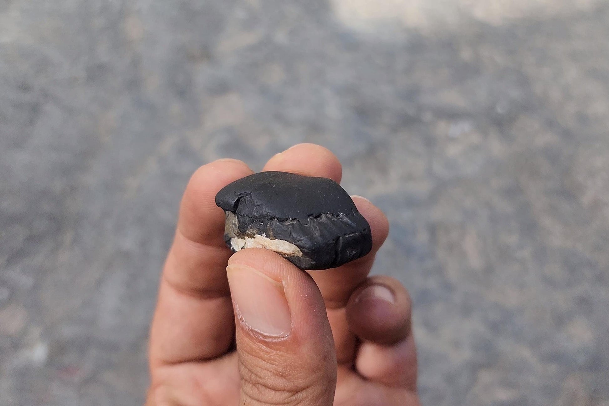 August Birthstone Shaligram – Sacred Power Stone For The Brave And Fearless August Born