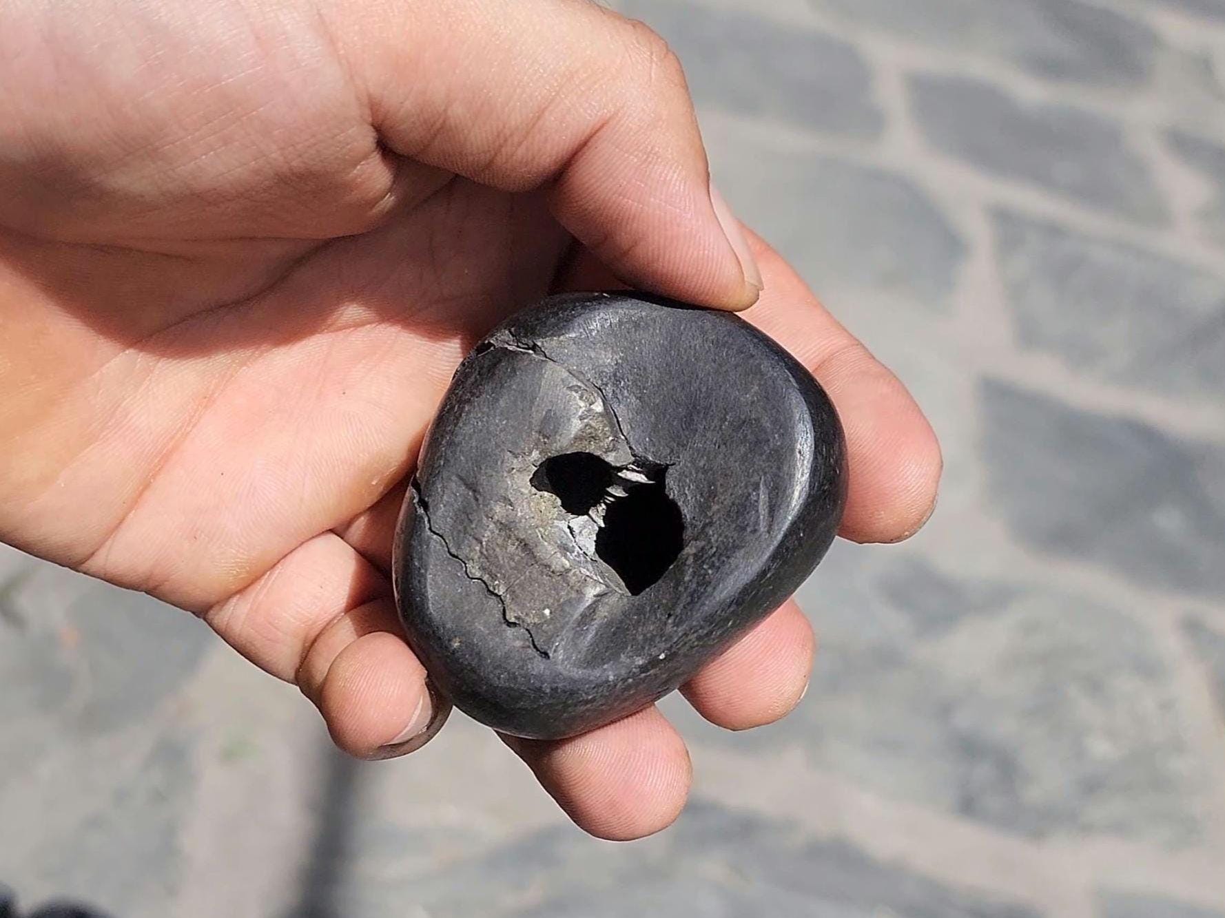 Chakra Healing Shaligrama, A Divine Cosmic Connection, Creation Of Nature, Sacred Seven Chakra Balancing Stone
