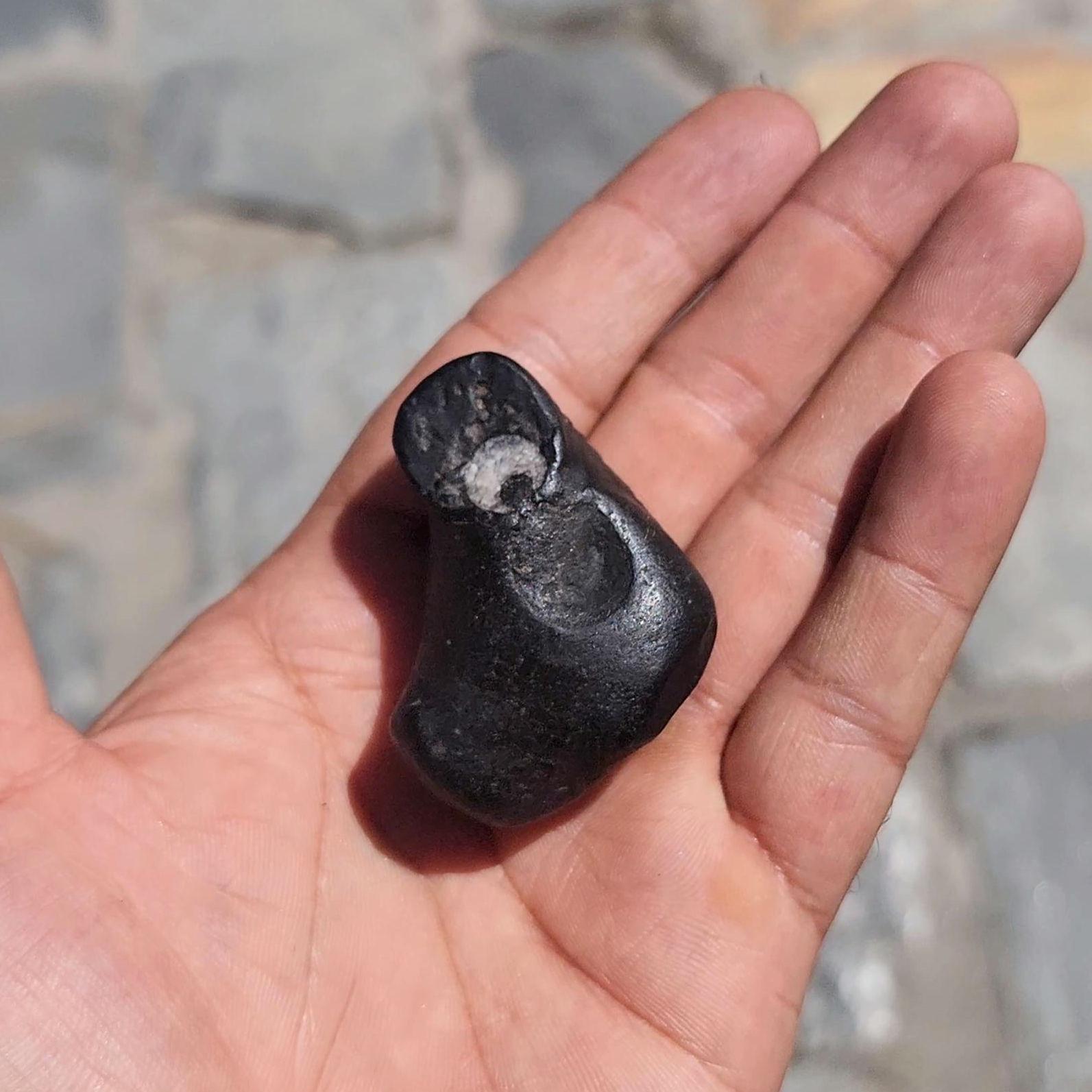 Lord Ganesh Shaligram